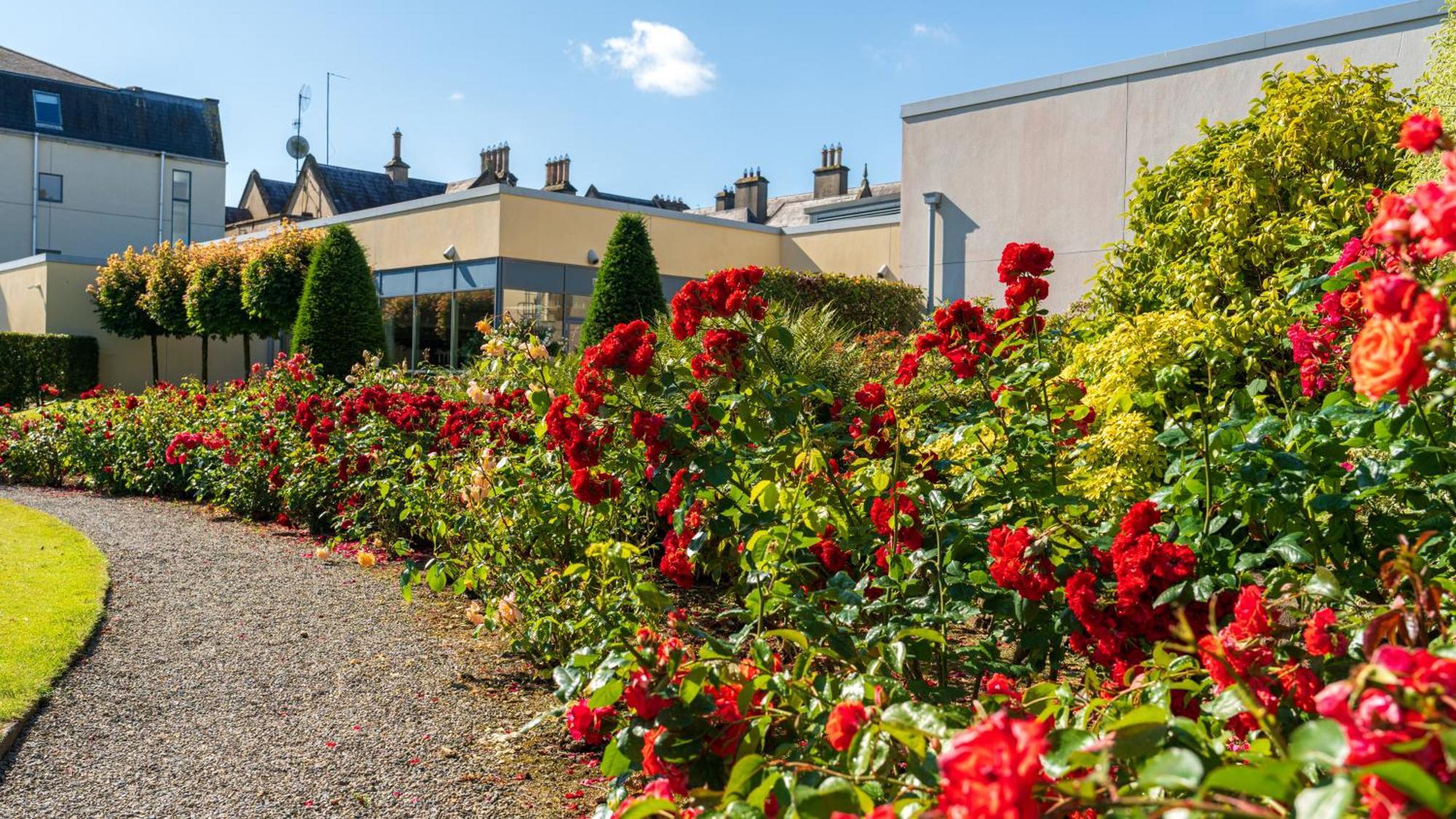 Ballymascanlon Hotel And Golf Resort Dundalk Exterior photo